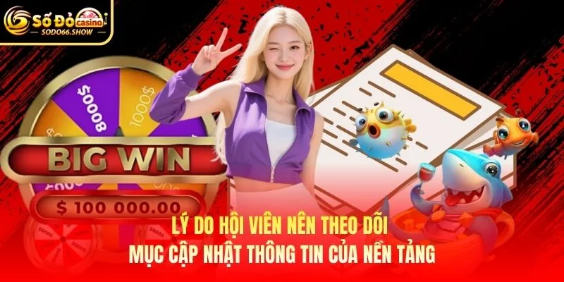 Lý do hội viên nên theo dõi mục cập nhật thông tin của nền tảng